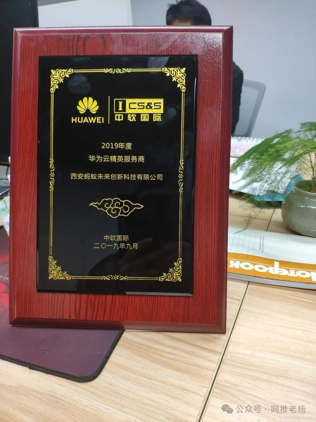 我的四十年过往【网推老杨】插图41