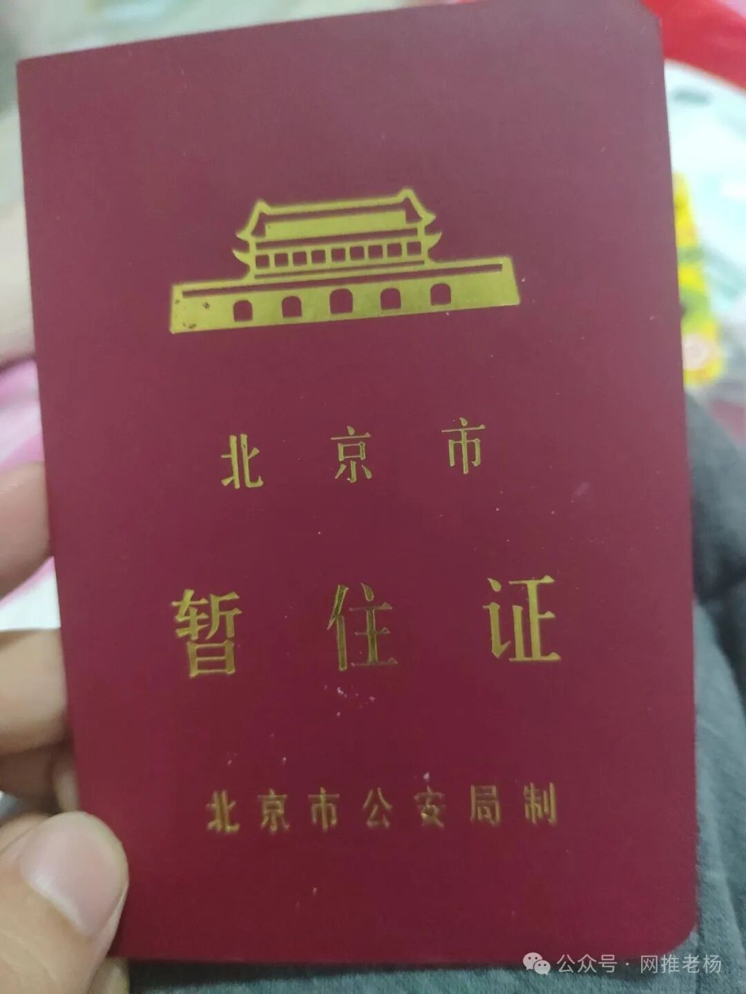 我的四十年过往【网推老杨】插图6